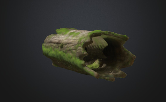 Tree Moss Trunk 3D model_3