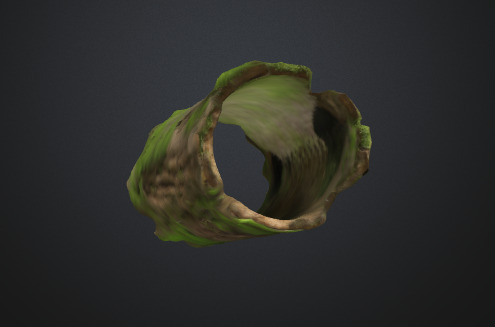 Tree Moss Trunk 3D model_2