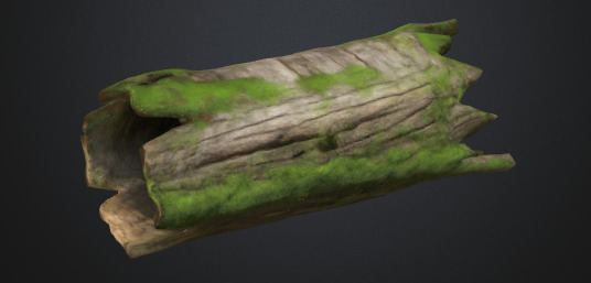 Tree Moss Trunk 3D model_1