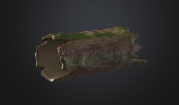 Tree Moss Trunk 3D model_5