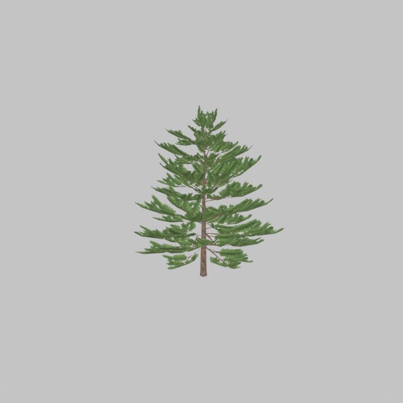 Forest pine summer dense 2m Low-poly 3D model_25