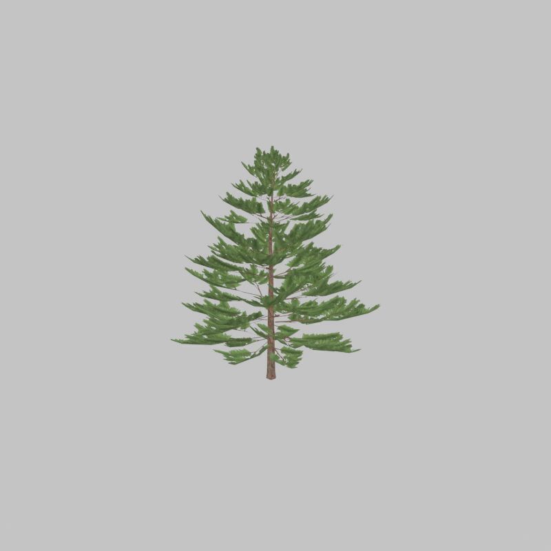 Forest pine summer dense 2m Low-poly 3D model_21