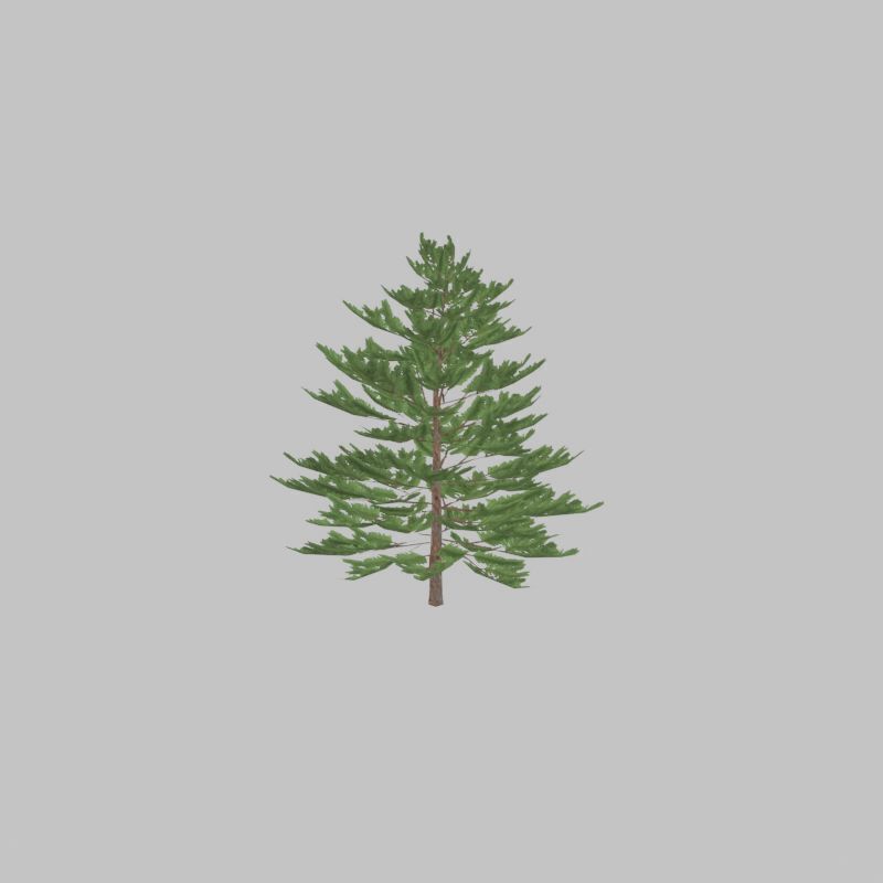 Forest pine summer dense 2m Low-poly 3D model_46