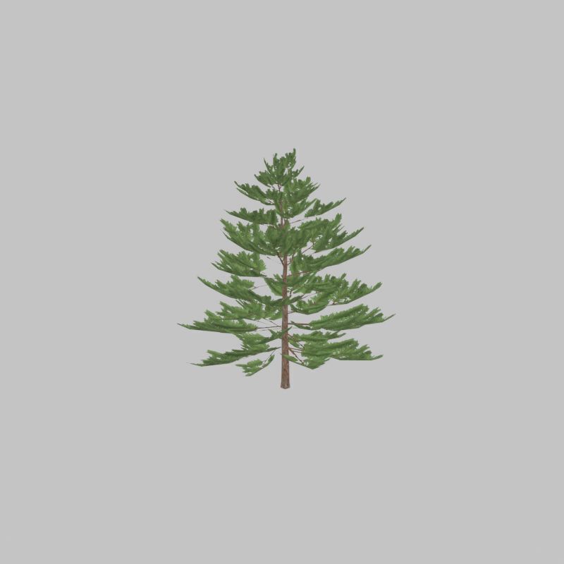 Forest pine summer dense 2m Low-poly 3D model_34