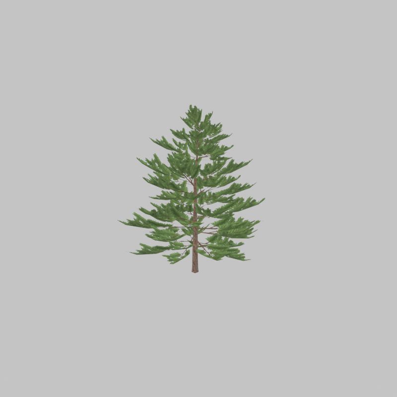 Forest pine summer dense 2m Low-poly 3D model_44