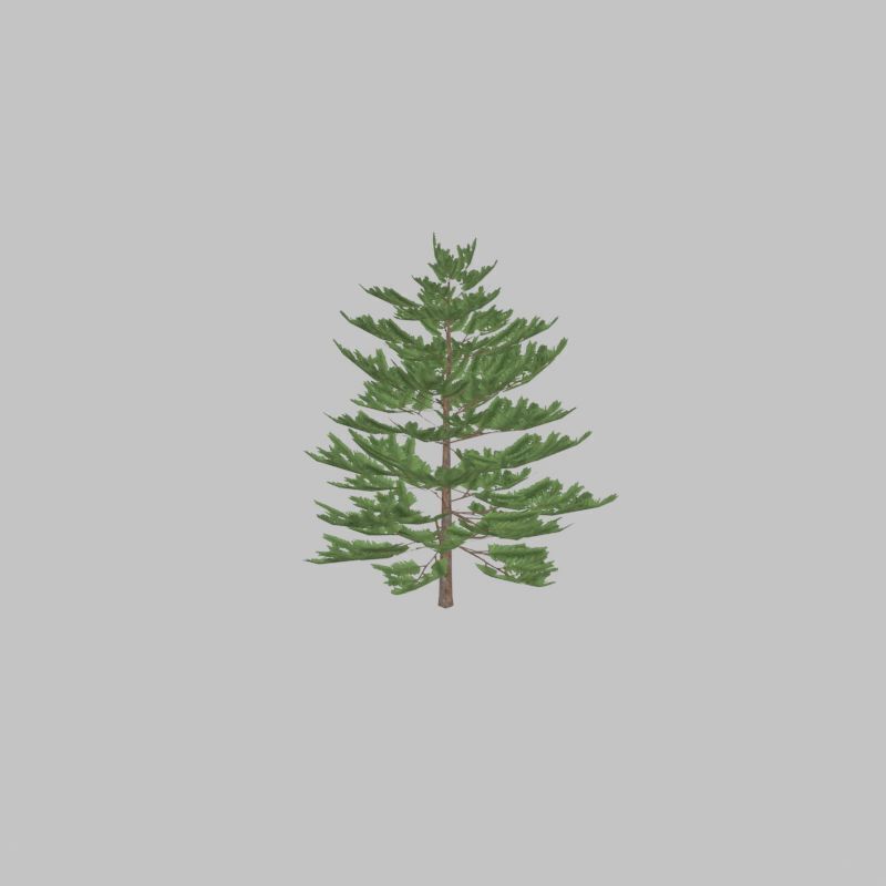 Forest pine summer dense 2m Low-poly 3D model_24