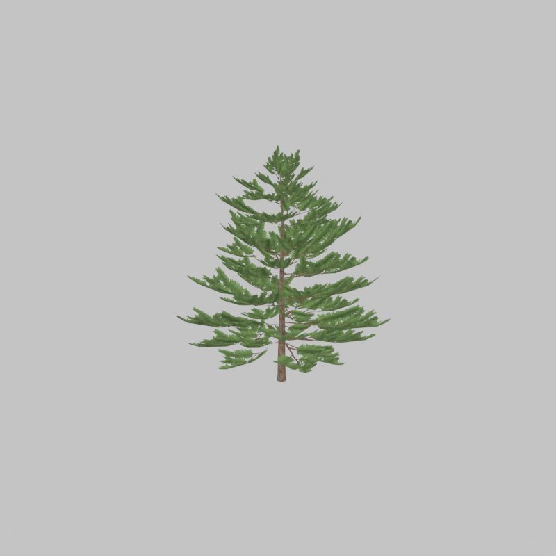 Forest pine summer dense 2m Low-poly 3D model_26