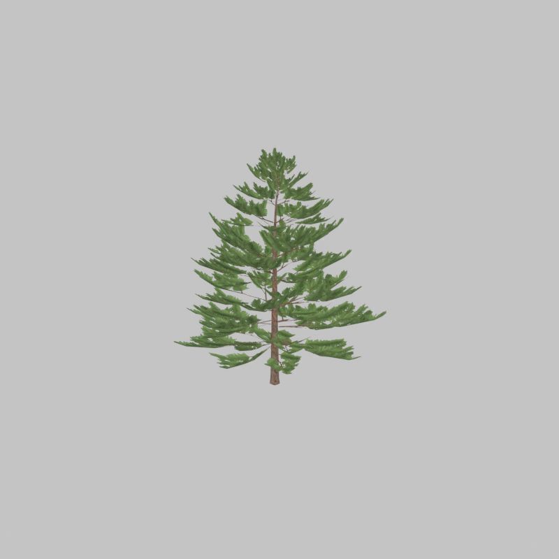 Forest pine summer dense 2m Low-poly 3D model_32