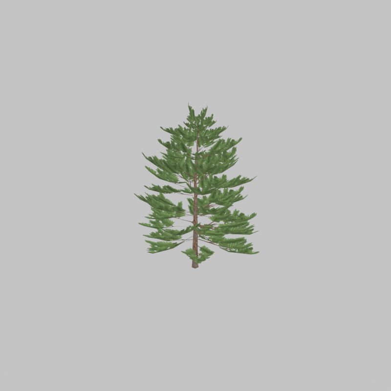 Forest pine summer dense 2m Low-poly 3D model_22