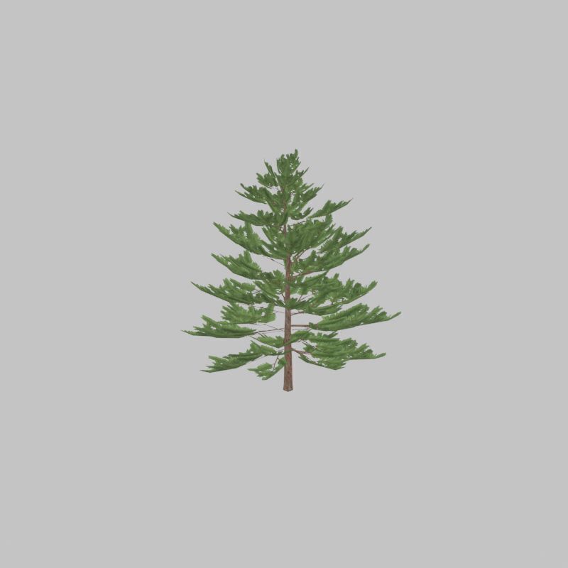 Forest pine summer dense 2m Low-poly 3D model_33