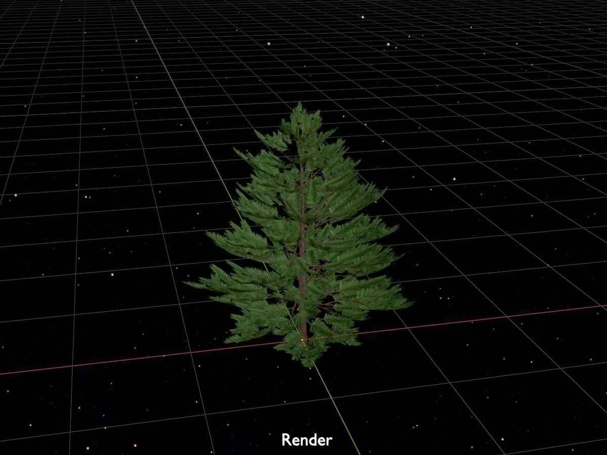 Forest pine summer dense 2m Low-poly 3D model_17