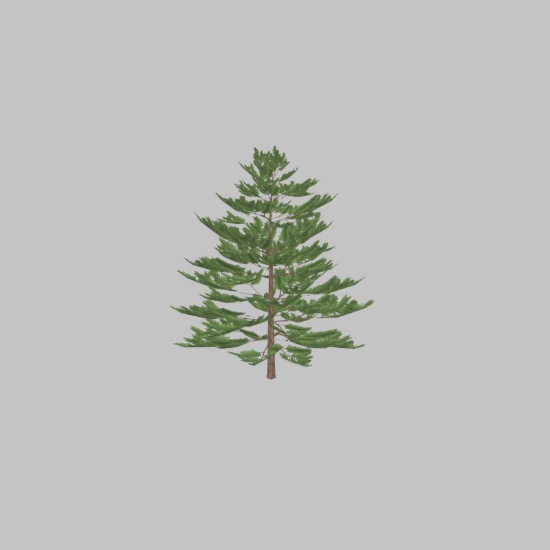 Forest pine summer dense 2m Low-poly 3D model_41