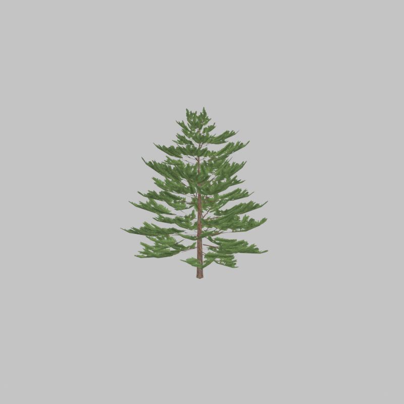 Forest pine summer dense 2m Low-poly 3D model_40