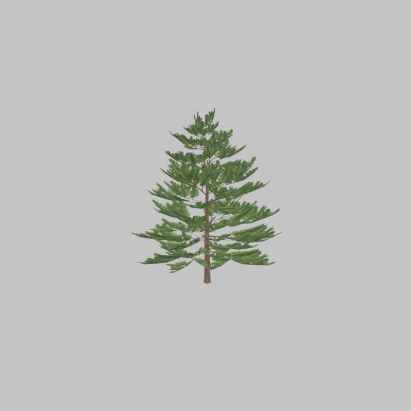 Forest pine summer dense 2m Low-poly 3D model_35