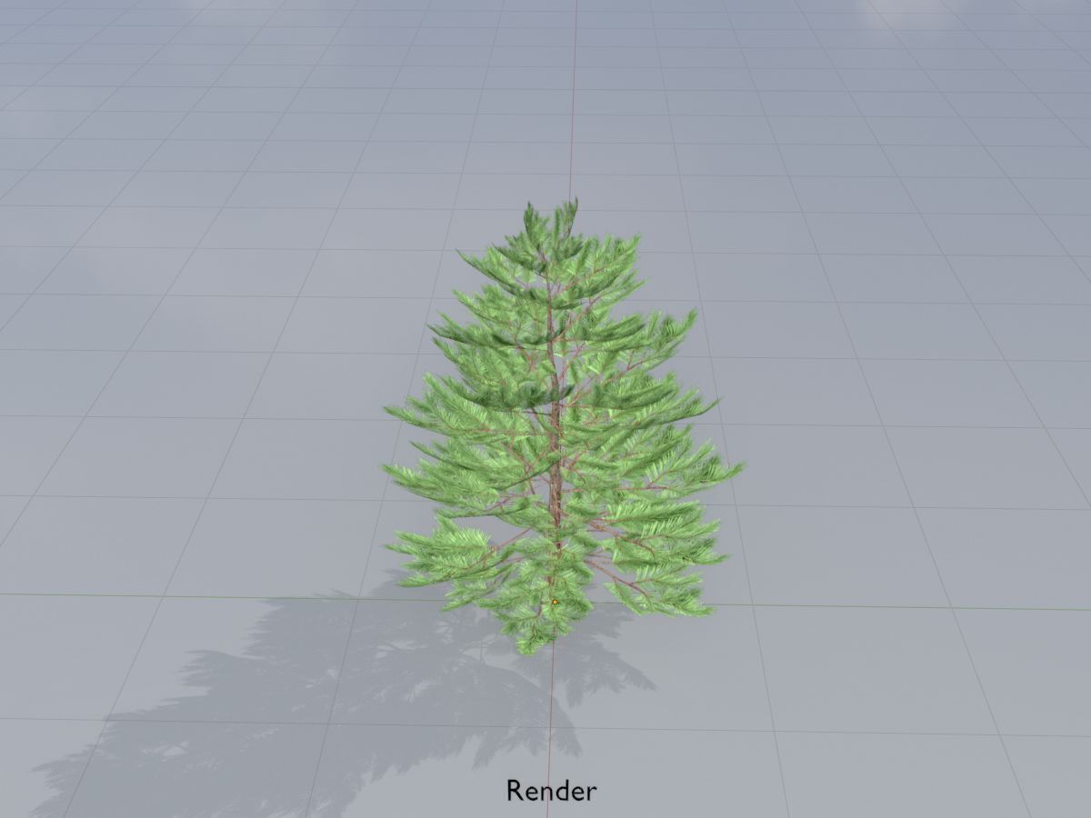 Forest pine summer dense 2m Low-poly 3D model_14