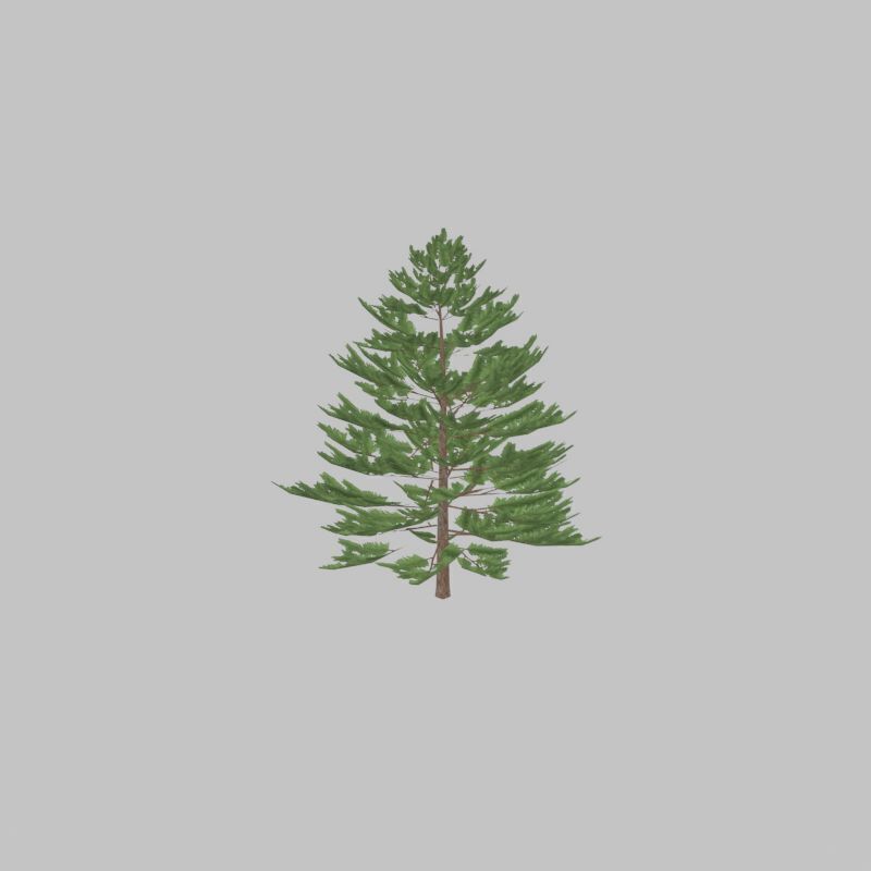 Forest pine summer dense 2m Low-poly 3D model_28