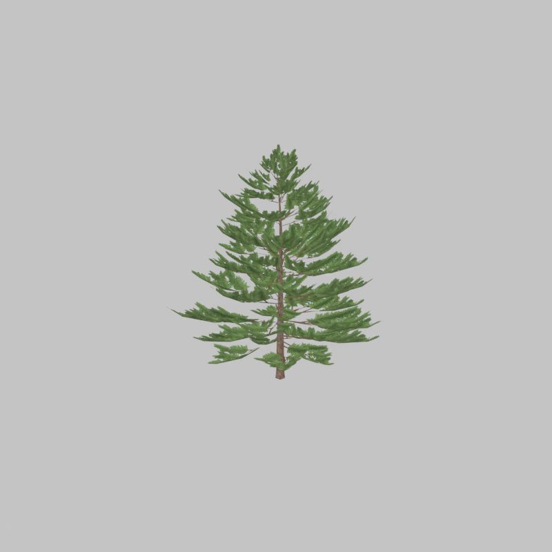 Forest pine summer dense 2m Low-poly 3D model_27