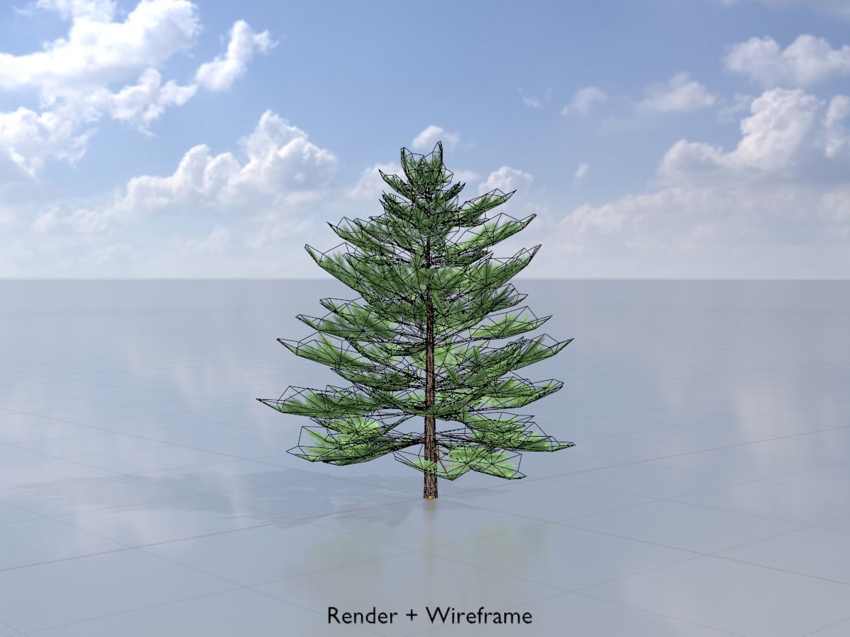 Forest pine summer dense 2m Low-poly 3D model_6