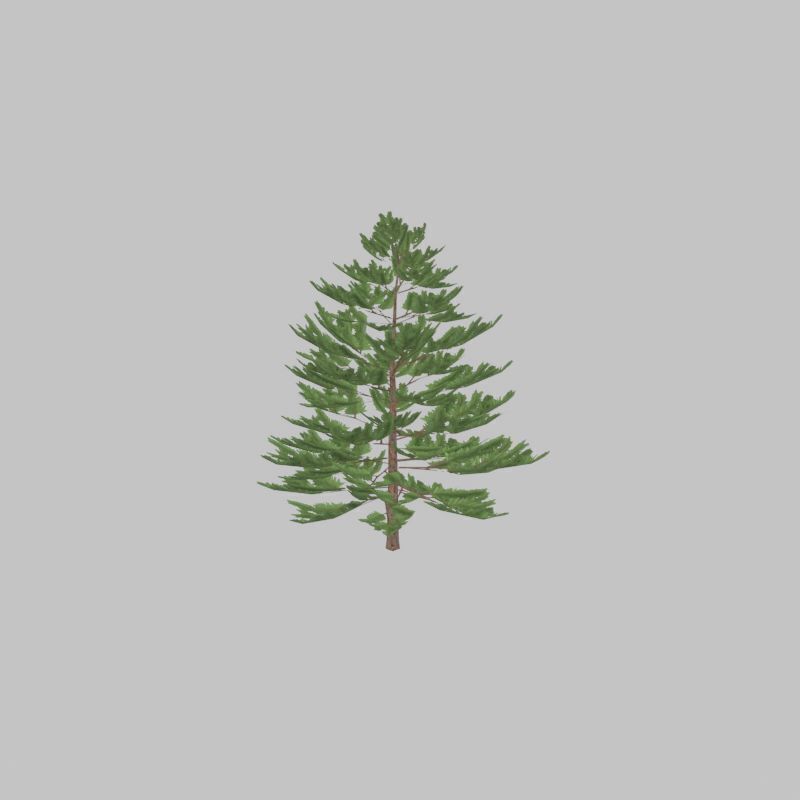 Forest pine summer dense 2m Low-poly 3D model_42