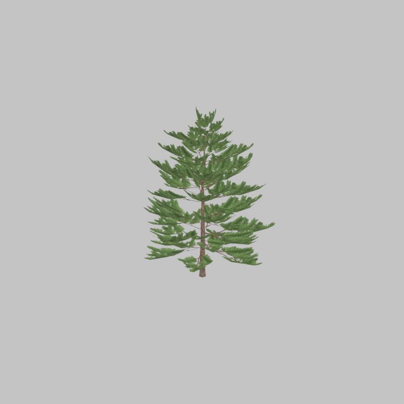 Forest pine summer dense 2m Low-poly 3D model_23