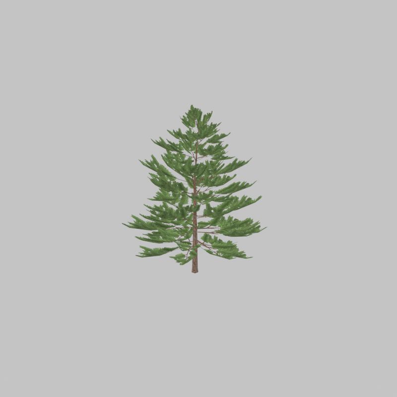 Forest pine summer dense 2m Low-poly 3D model_43