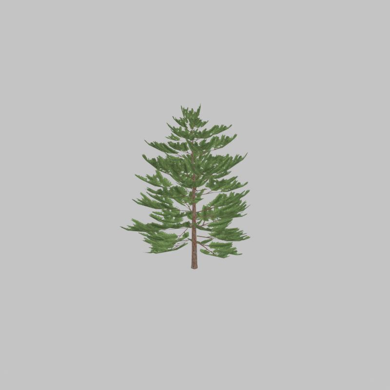 Forest pine summer dense 2m Low-poly 3D model_38