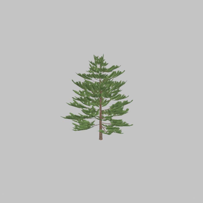 Forest pine summer dense 2m Low-poly 3D model_39