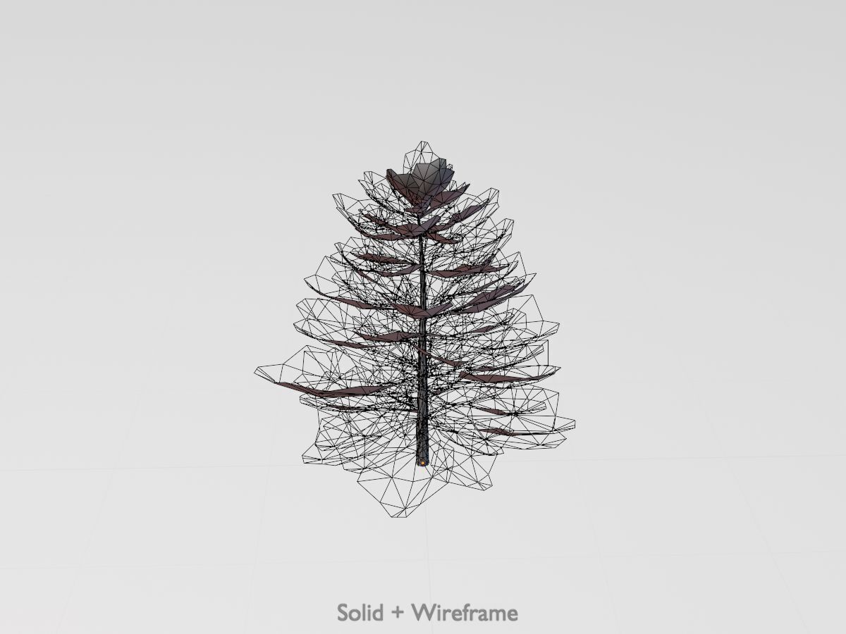 Forest pine summer dense 2m Low-poly 3D model_12