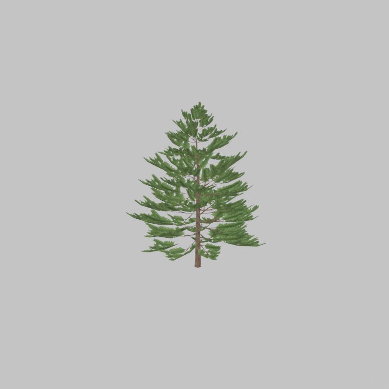 Forest pine summer dense 2m Low-poly 3D model_29