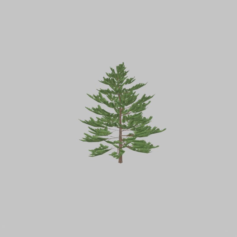Forest pine summer dense 2m Low-poly 3D model_31