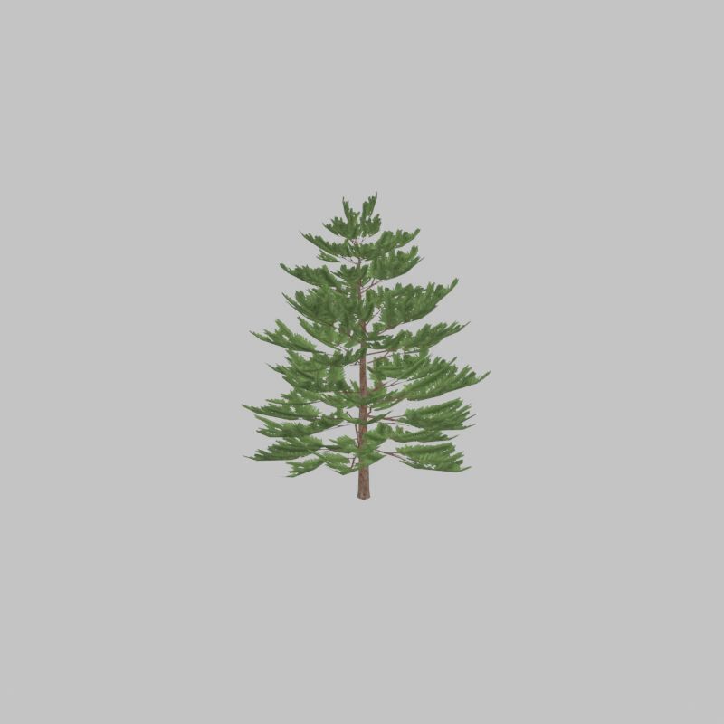 Forest pine summer dense 2m Low-poly 3D model_36