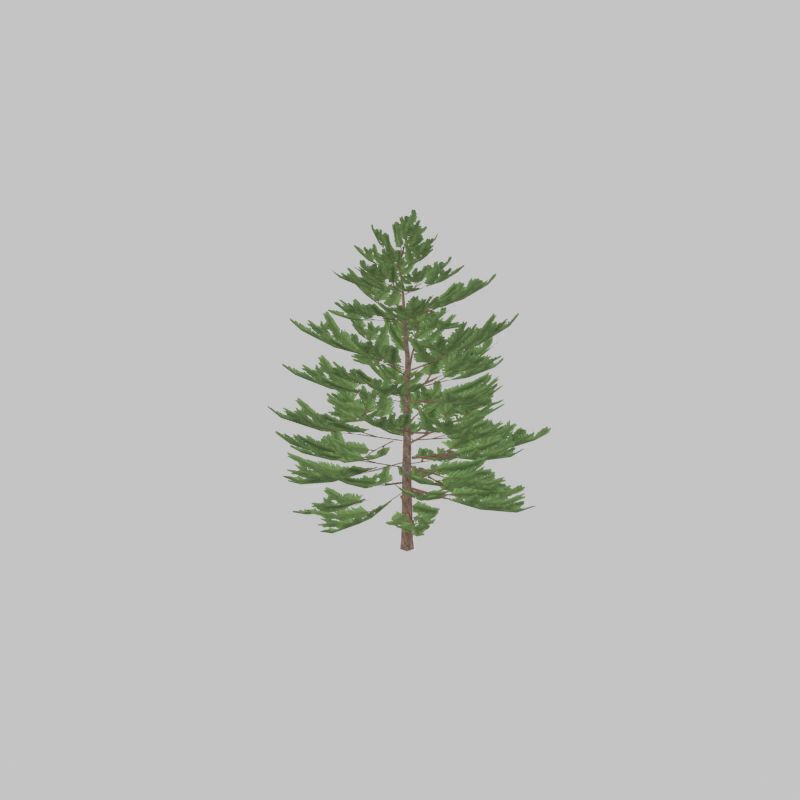Forest pine summer dense 2m Low-poly 3D model_30