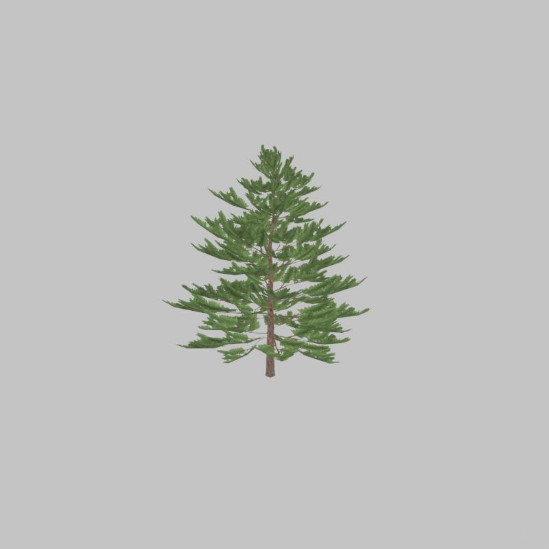Forest pine summer dense 2m Low-poly 3D model_45