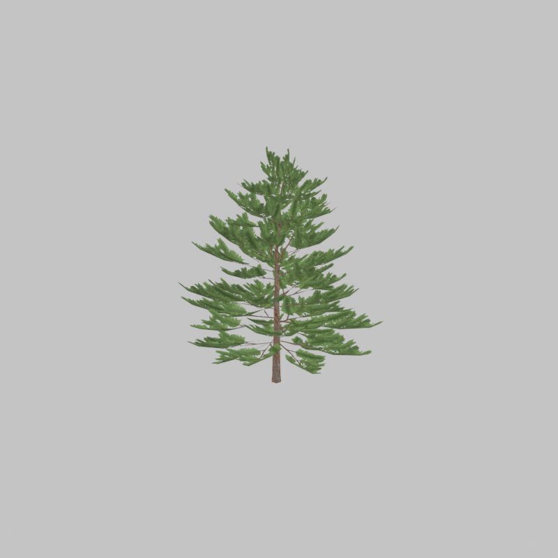 Forest pine summer dense 2m Low-poly 3D model_47