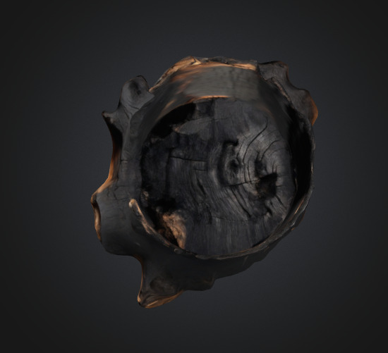 Burn Tree Stump 3D model_2