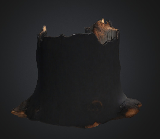 Burn Tree Stump 3D model_1