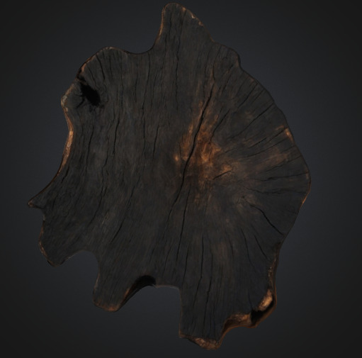 Burn Tree Stump 3D model_3