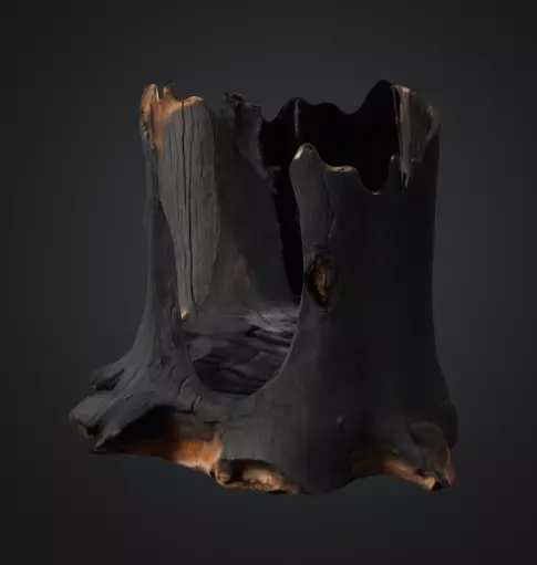 Burn Tree Stump 3D model_0