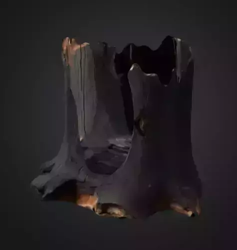 Burn Tree Stump 3D model