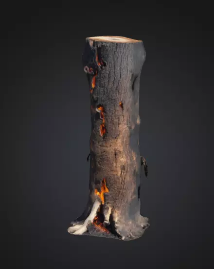 Burn Tree Trunk 3D model_0