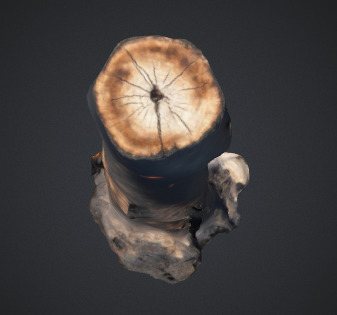 Burn Tree Trunk 3D model_3