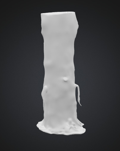 Burn Tree Trunk 3D model_4