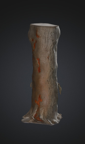 Burn Tree Trunk 3D model_5