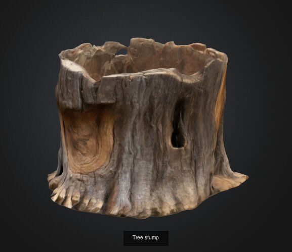 tree stumps and trunks 3D Model Collection_11