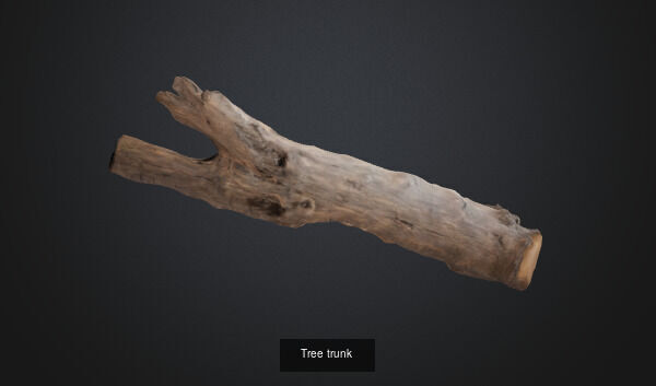tree stumps and trunks 3D Model Collection_13