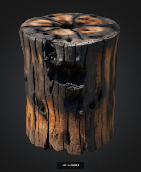 tree stumps and trunks 3D Model Collection_8