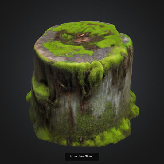 tree stumps and trunks 3D Model Collection_12