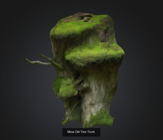 tree stumps and trunks 3D Model Collection_5