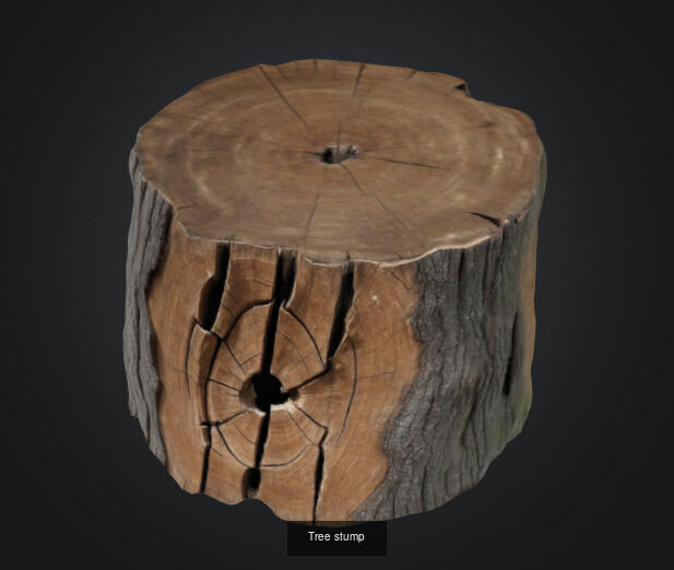 tree stumps and trunks 3D Model Collection_9