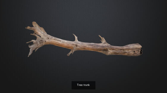 tree stumps and trunks 3D Model Collection_15